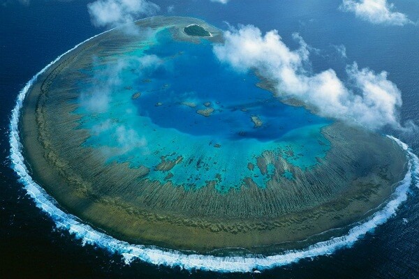 Lady Musgrave Island, Queensland
