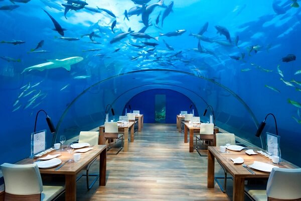 Underwater Dinner @ Conrad Rangali Resort Maldives